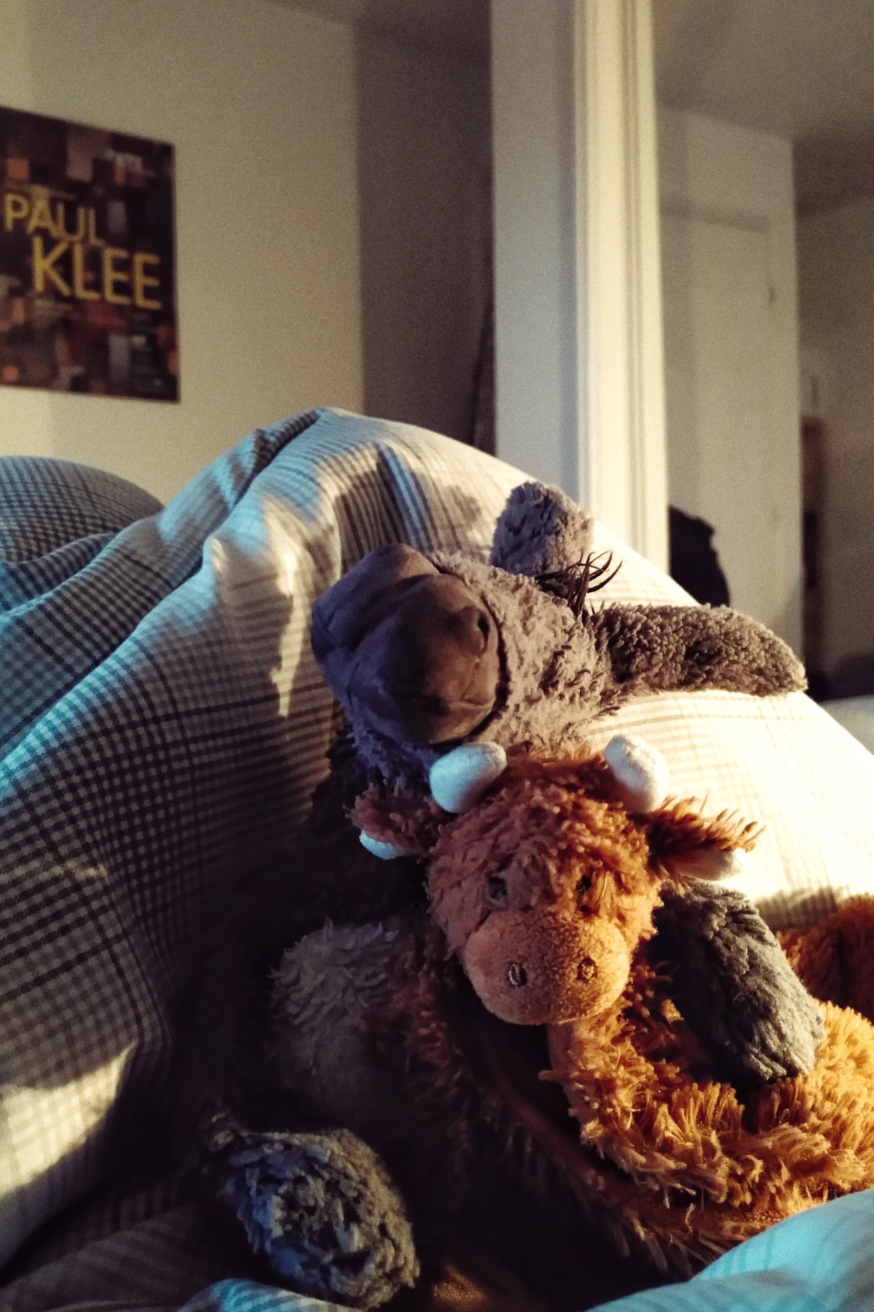 A vertical colour photograph of a plush donkey holding a plush highland cow on an unmade bed.