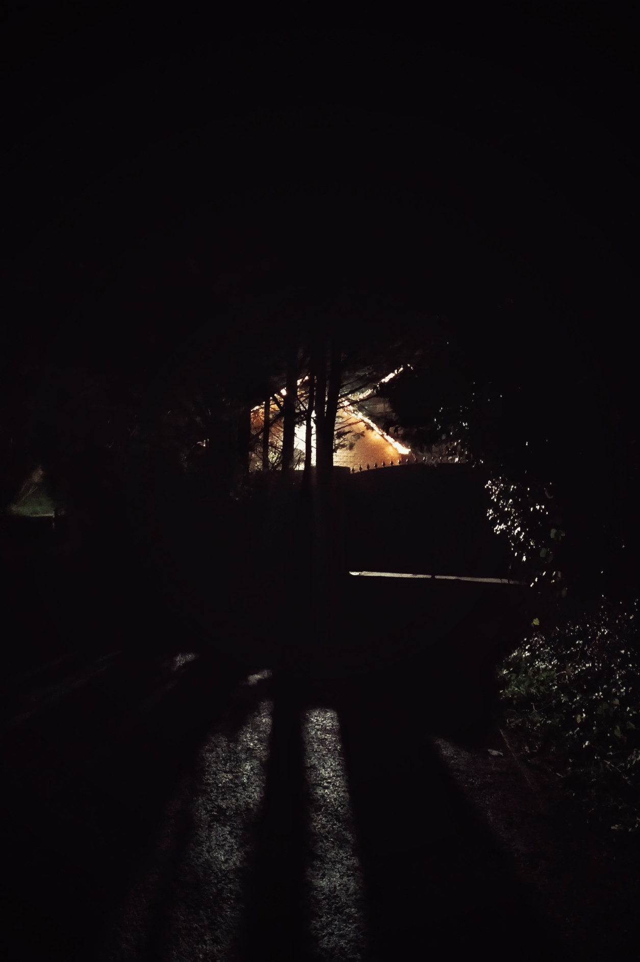 A night time vertical colour photograph of a house lit up but half hidden by trees. The light streak on tarmac in the foreground.