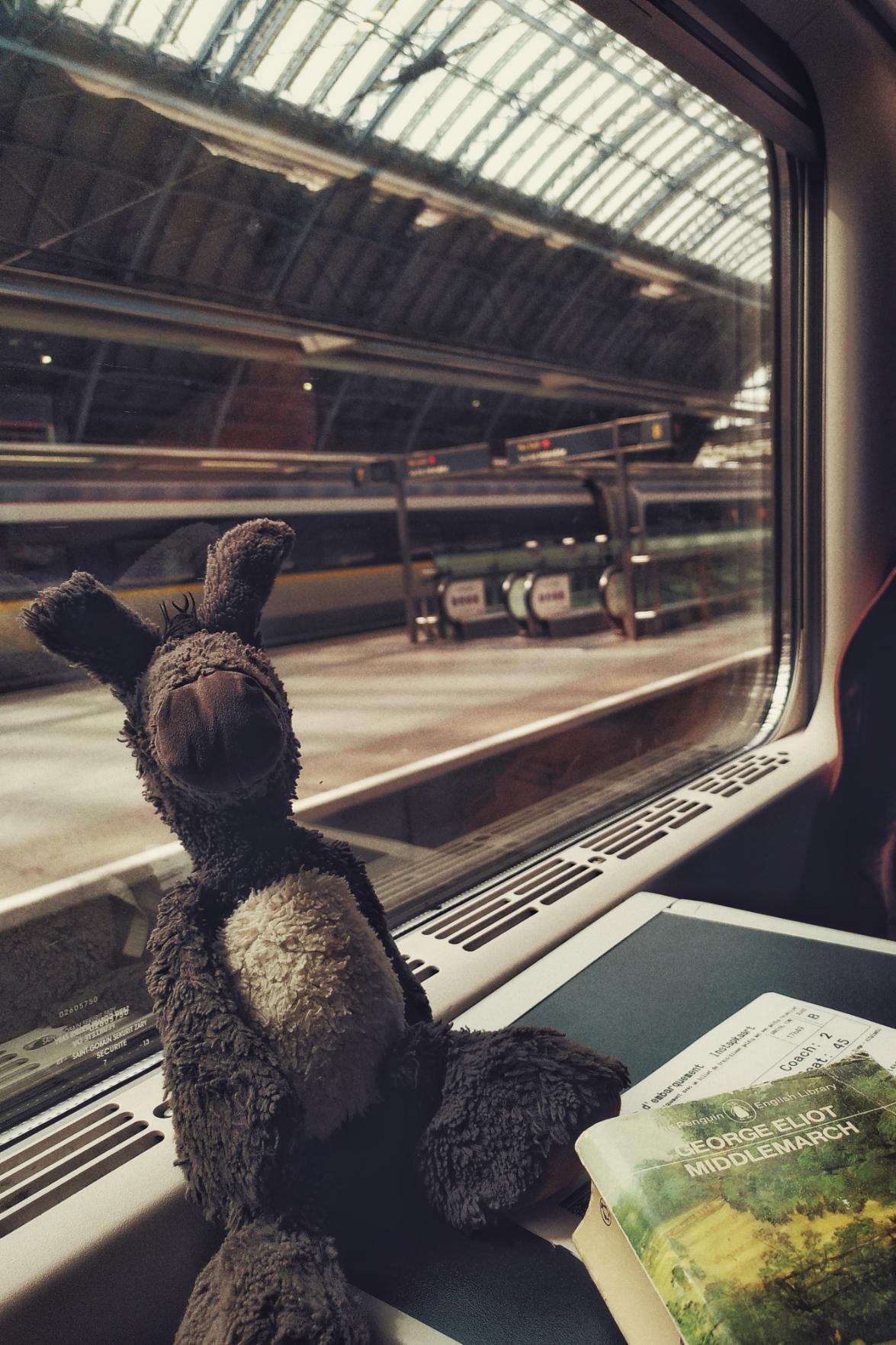 A vertical colour photograph of a donkey plushie resting against a train window. In front of him is a book (Middlemarch by George Elliott). Behind him is an empty platform with a train waiting on the opposite platform.
