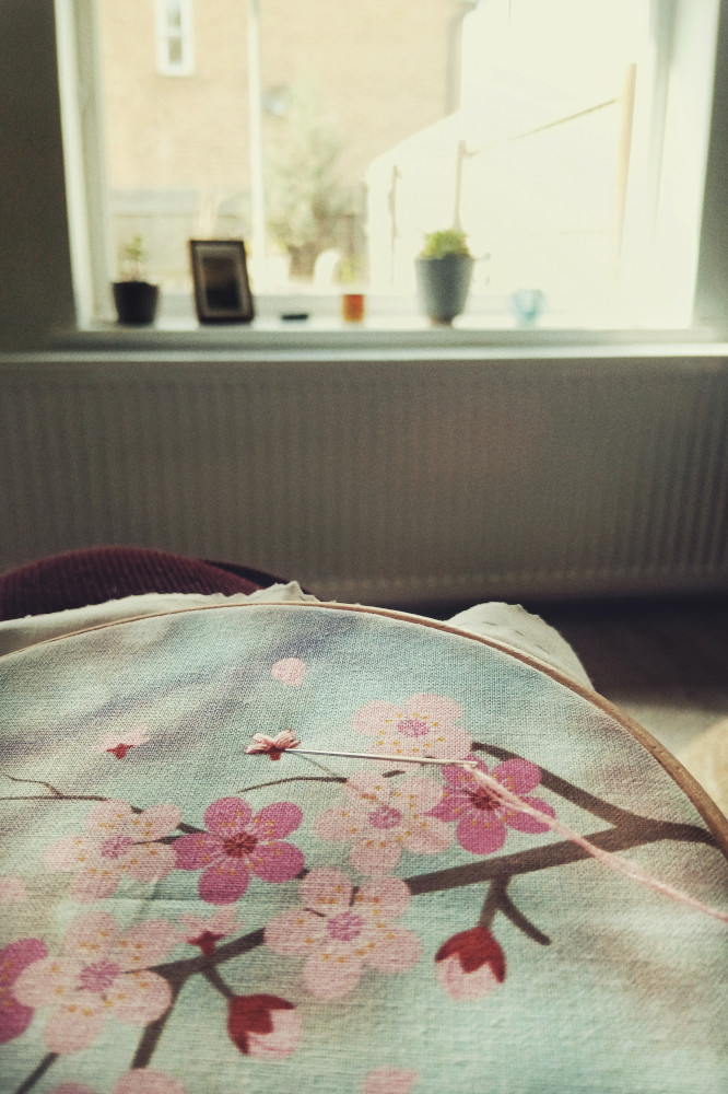 A vertical colour photograph of an embroidery kit on lap. The print on the fabric is of a branch with pink cherry blossoms on. One small falling blossoms has been embroidered. The silver coloured needles
pokes into the fabric. In the background is a window bathed in light.