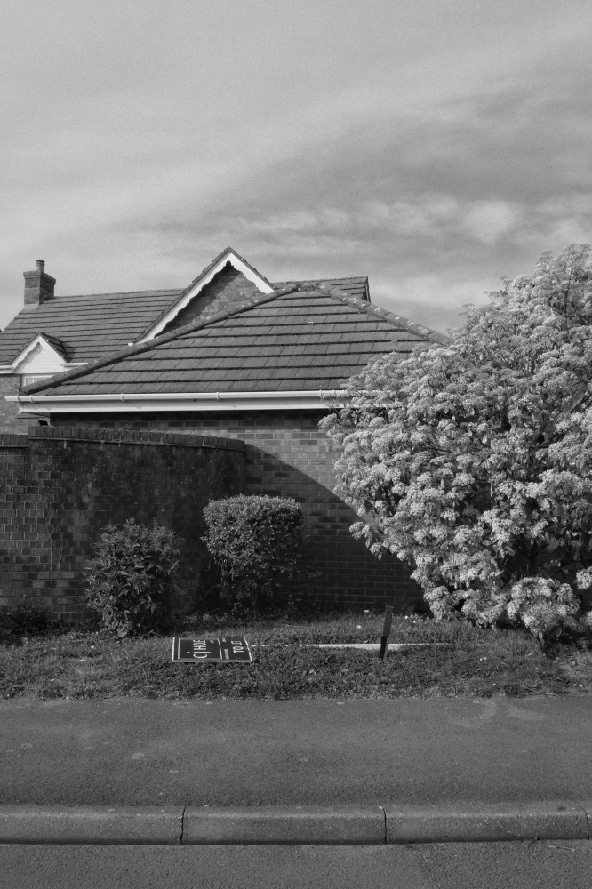 A vertical black and white photograph of a front garden by a brick wall. There is some grass, a tall bushy tree, and a 'to let' sign down on the grass.